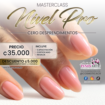 nivel pro web